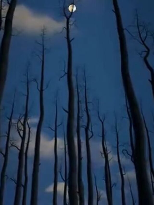 از حصار شوم شب قامت افق پیداست