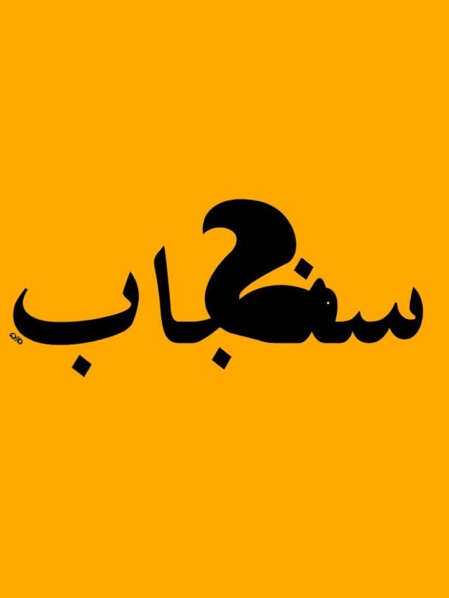 علائین ری